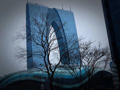 -海港城