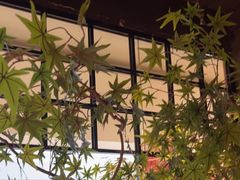 -老客家·客家菜(万达店)