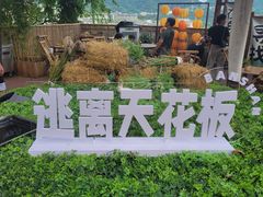 -伴山茶苑·一盏冰茶·半日山居