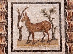 -巴尔多国家博物馆