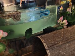 -坛宗剁椒鱼头(河西王府井店)