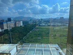 -The lounge 柏悦酒店大堂酒廊(上海环球金融中心店)