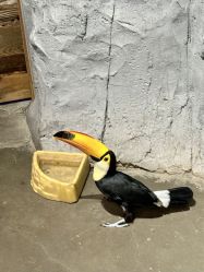 -Zoolung Zoolung动物主题公园(海信广场店)