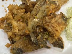 -有腥气私房菜·寻味顺德