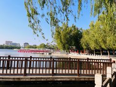 -莲花池公园