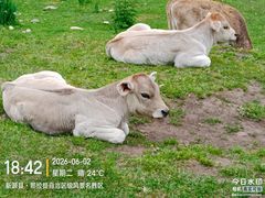 -新疆那拉提国家旅游度假区