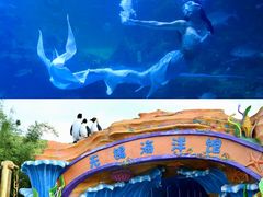 -无锡动物园·太湖欢乐园