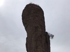 -磬锤峰森林公园