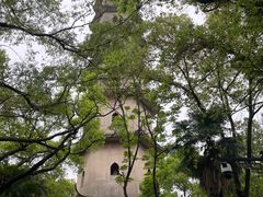 -江心屿景区