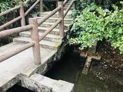 -金山公园