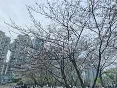 -西北湖绿化广场