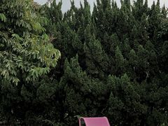 -南沙蒲洲花园