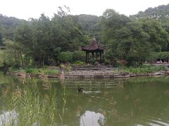 -广州市帽峰山景区