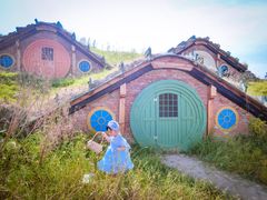 -武汉紫薇都市田园