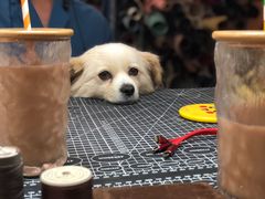 -零几体验diy皮具工作室(振业城店)