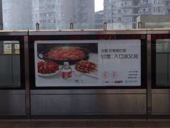 -顺庆羊肉馆(南坪店)