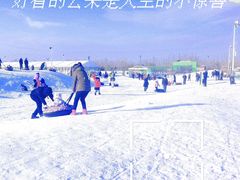 -绿野森林乐园冰雪季