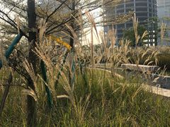 -前海深港基金小镇