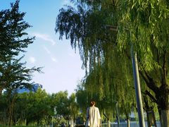 -天鹅湖体育公园