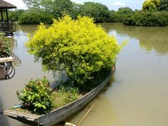-大湾区中央湿地公园
