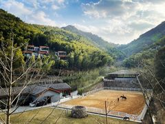 -宁海安岚·南溪阁全日餐厅