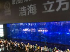 -成都浩海立方海洋公园