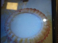 -潮喜竹溪荔湖酒家(荔枝湾店)