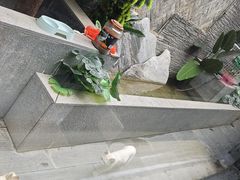 -毛辣果·贵州红酸汤牛肉火锅(西单店)
