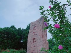 -抱犊崮国家森林公园