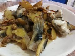 河豚-阿钦大排档