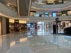 -TESLA 特斯拉(郑州正弘城体验店)