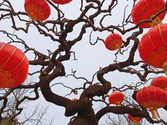 -香山公园