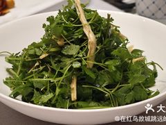 -悦融·京鲁菜·露台花园(安定门店)