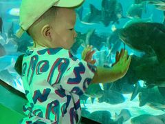 -福州罗源湾海洋世界旅游区