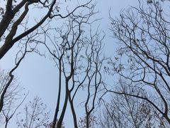 -重庆彩云湖湿地公园