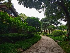 -静安公园(静安寺街道)