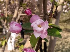 -元大都城垣遗址公园