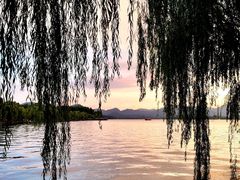 -西湖游船
