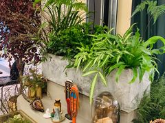 -PlantsEatery·植物食堂(REX春熙店)