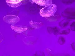 -沈阳海洋探索中心