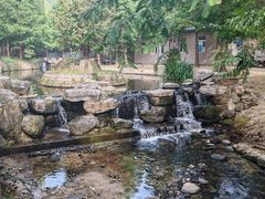 -白水寺森林公园