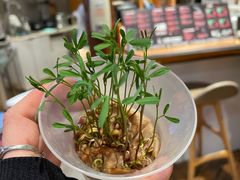 -饵块食光·云南有机手作饵块