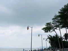 -深圳湾公园(南山区)