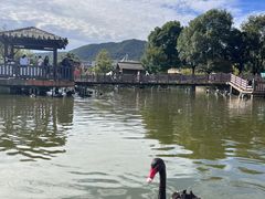 -无锡动物园·太湖欢乐园