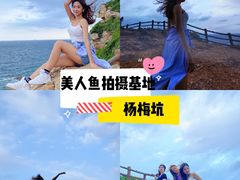 -杨梅坑
