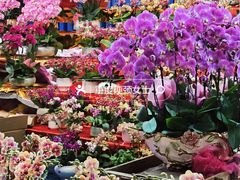 -天河体育中心