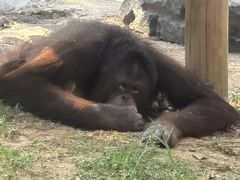 -杭州野生动物世界
