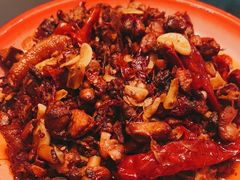 -柴窝堡22号辣子鸡·传承新疆菜