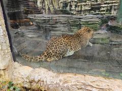 -贵州森林野生动物园
