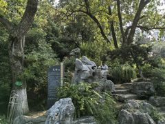 -红梅公园